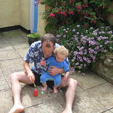 Dolphin Cottage Shaldon Esterno foto