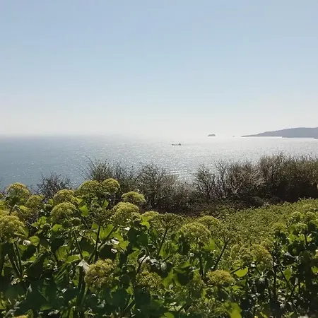 Dolphin Cottage Shaldon Esterno foto
