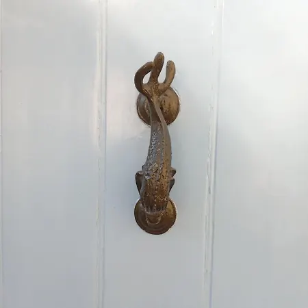 Dolphin Cottage Shaldon Esterno foto