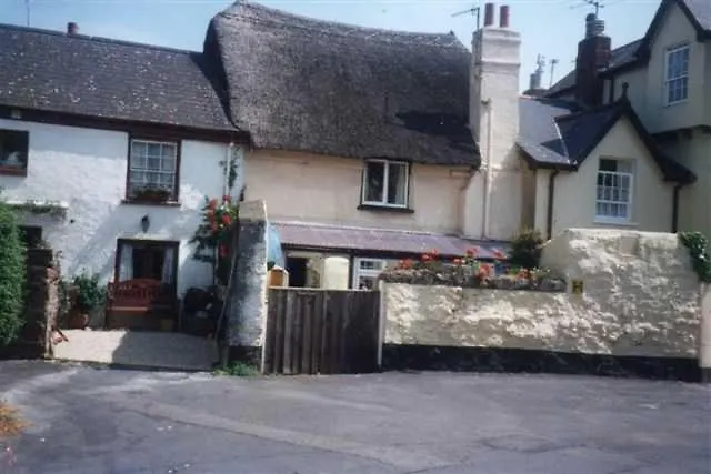 Dolphin Cottage 50M From Shaldon Beach!
