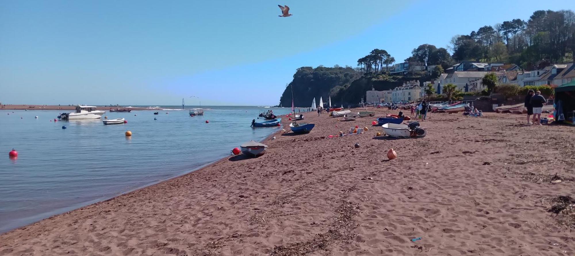 Dolphin 50m From Beach! Shaldon