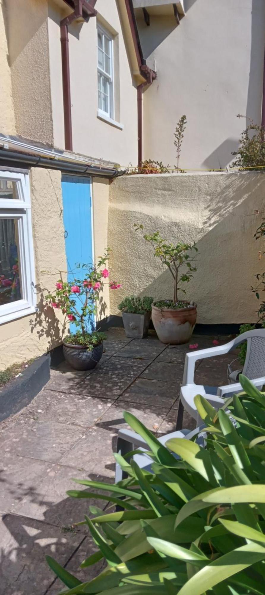 Dolphin 50m From Beach! Holiday home *